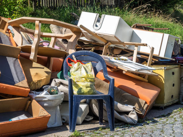 Best Basement Cleanout Services  in Web, AL