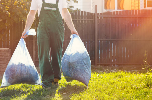 Best Construction Debris Removal  in Web, AL